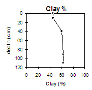 GP59 clay