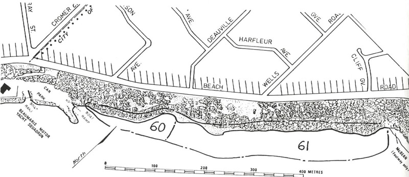 60 Beaumaris Cliffs 2 (Yacht Squadron) - Fossil Site