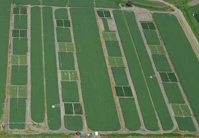 An aerial photograph of the AGRACE scientific research site near Horsham, Victoria