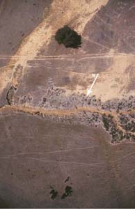 Image:  A low altitude view of a severely eroded landscape featuring tunnel and gully erosion near Costerfield. The canopy of the large tree is approximately 15 m. 