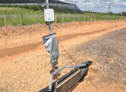 Automated irrigation system