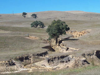 Photo showing land degradation of the Challicum Hills