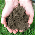 Montage of soil images used as an icon
