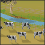 Icon: Animation of dairy cows in a paddock