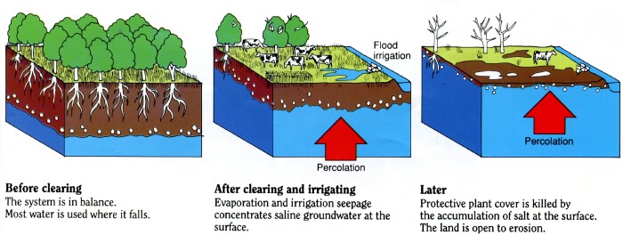 Irrigation salinity