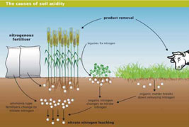 Examples of soil degradation - Acidification