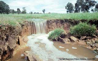 Land degradation - An example of gully erosion
