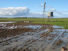 Examples of soil degradation - Water Logging