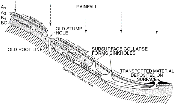 Tunnel initiation and development at Caniambo, northeastern Victoria (Boucher, 1990)