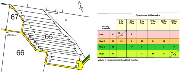 Field lay out and site design of the LTPE, Hamilton, Victoria