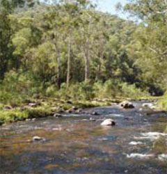Northern Victorian Focus Catchments - Fact Sheet 1