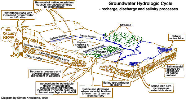 Groundwater hydrologic cycle