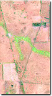 Image:  Landsat map