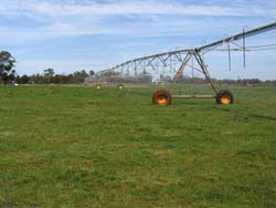 Centre pivot irrigation equipment in a paddock