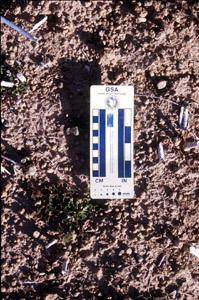 Image:  SFS 6 soil surface
