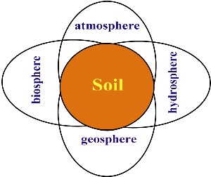 Soil interface
