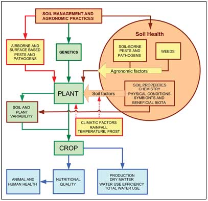 Soil Health Management Plan - concept - figure 1