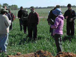 A group of farmer and land managers in the field