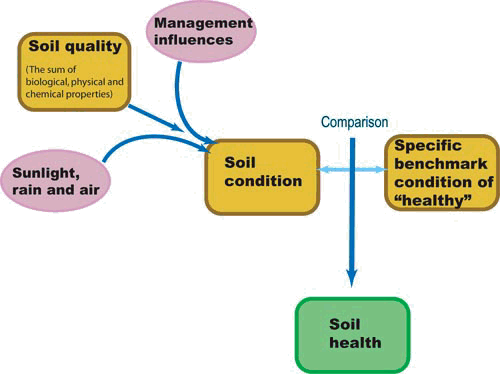 Soil Health Schematic Diagram