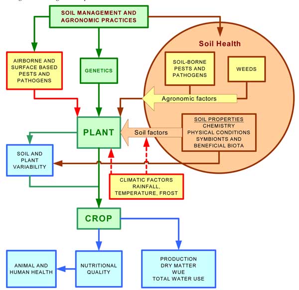 Diagram illustrating the relationships between agronomic and environmental factors affecting soil, plant, crop and animal health