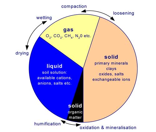 Representations of the bulk soil composition in relation to the three phases of matter, solid, liqua, gaseous
