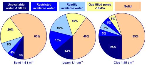 Water availability and volumetric relationship between solid, liquid and gaseous phases for three soils of different texture and density