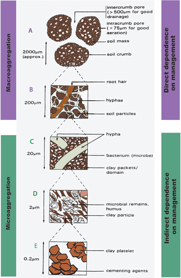 Soil Aggregation Model