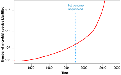 This diagram highlights how using genomic technologies based on DNA have exponentially increased the number of microbial organisms we have been able to identify.