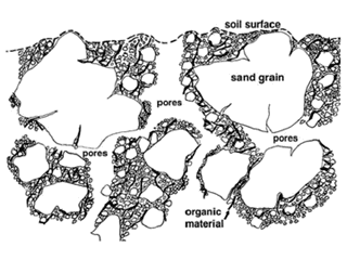 An diagram of soil structure