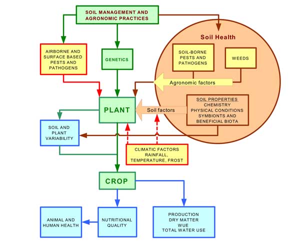 Illustration of soil health factors and their relationship to the production system