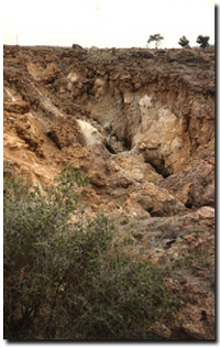 Photo: The merging of sinkholes leaves an open gully section in this tunnel network in the Parwan Valley.