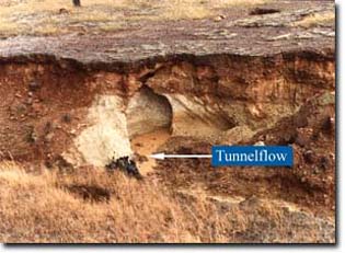 Photo: Tunnelflow transporting eroded soil material through a gully wall near Costerfield. 