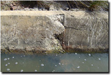 Photo: Breakdown of concrete drain join, located in a salinity discharge area.