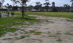 Patchy lawn growth adjacent to Lake Neangar