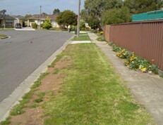 Photo: Patchy growth and discolouration of grass