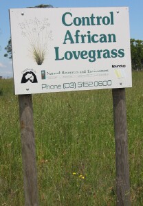 Photo: 'Control African Lovegrass' sign near Maffra