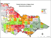Map: Potential distribution of Alligator Weed