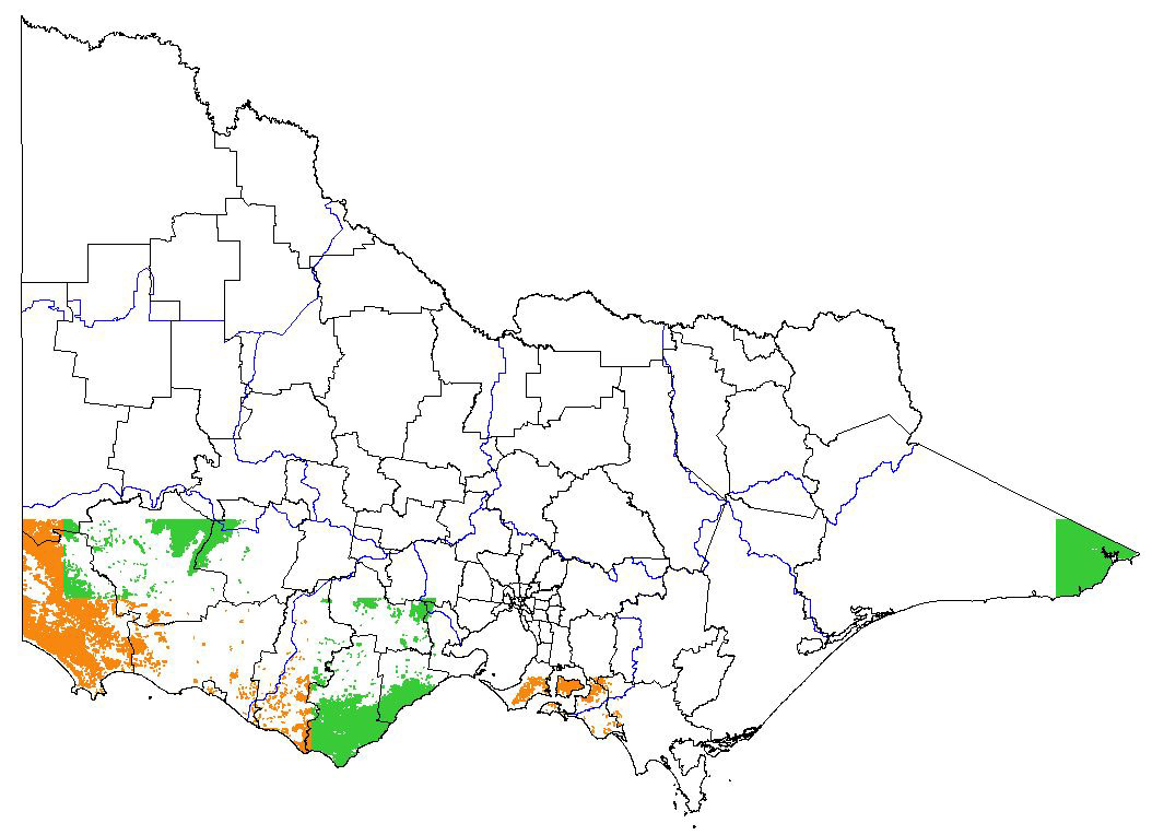 map showing the potential distribution of bomarea multiflora