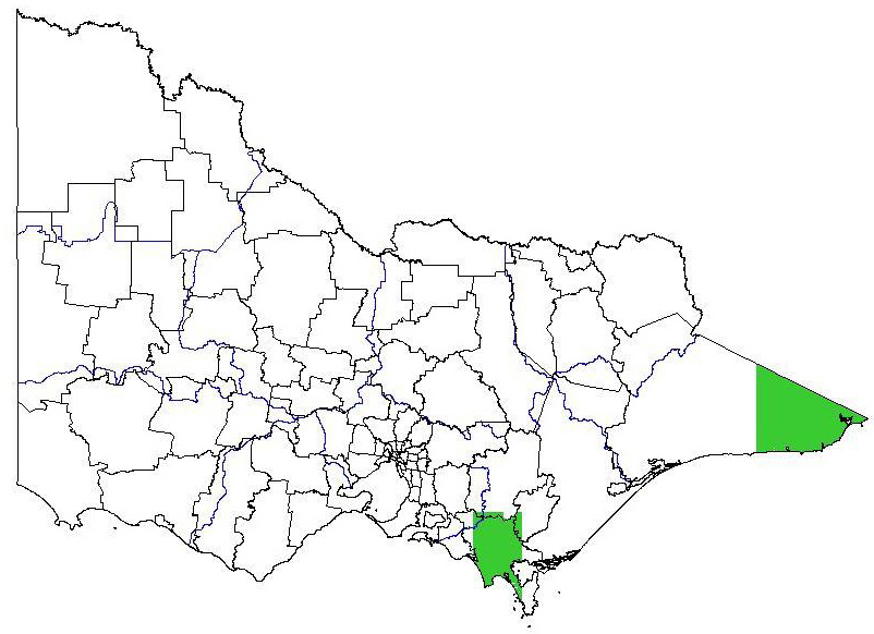 Map showing the potential distribution of the Brazilian pepper tree