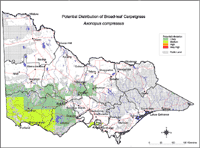 Map: Potential distribution of Broadleaf Carpetgrass