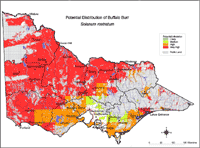 Map: Potential distribution of Buffalo Burr