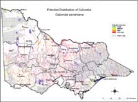 Map:  Potential distribution Cabomba