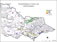 Map:  Potential distribution Chinese Violet
