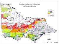 Map:  Potential distribution Cotton Thistle