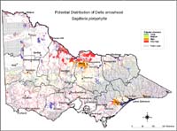 Map:  Potential distribution Delta Arrowhead