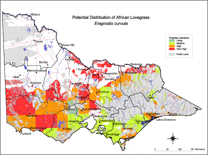 Map:  Potential distribution - African Lovegrass