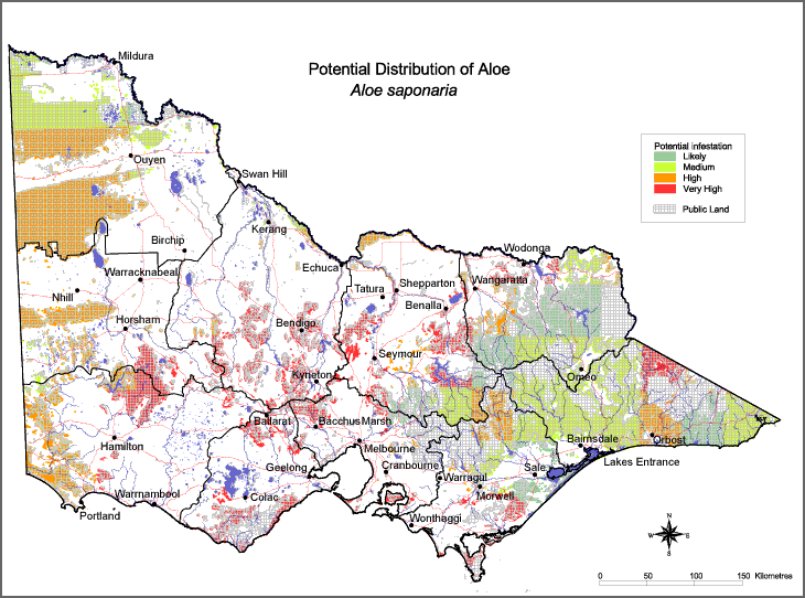 Map:  Potential distribution - Aloe