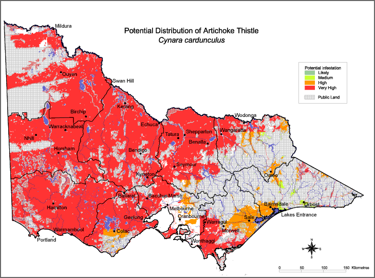 Map:  Potential distribution - Artichoke Thistle