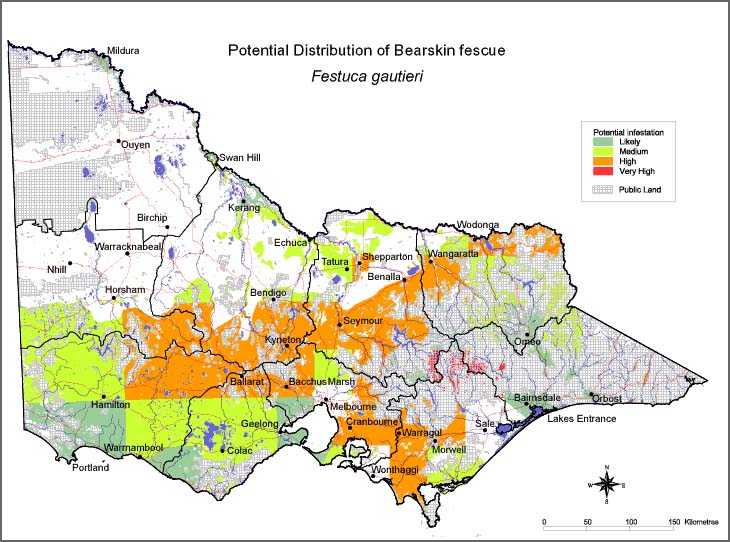 Map:  Potential distribution - Bearskin Fescue