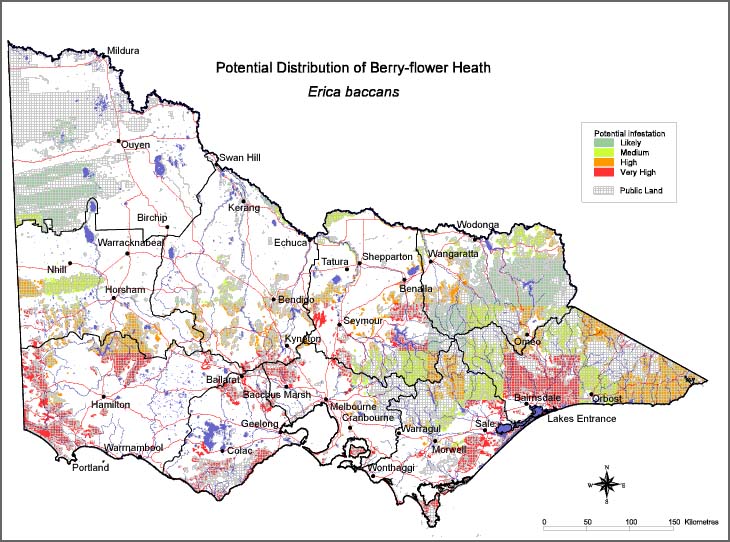 Map:  Potential distribution - Berry Flower Heath